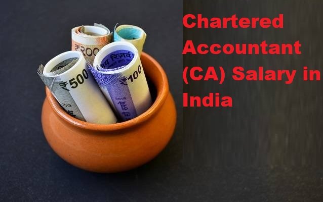 Chartered Accountant (CA) Salary in India